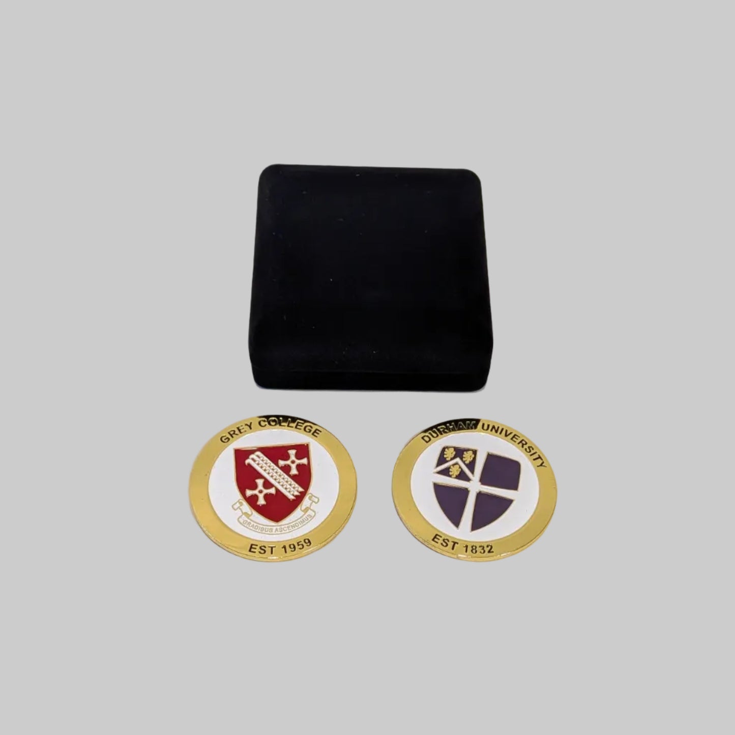 Grey College Coin